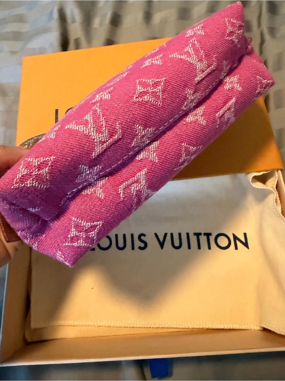 Louis Vuitton denim cosmetic pouch - Picture 9 of 10